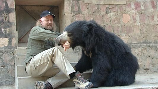Bill Bailey and Sloth bear